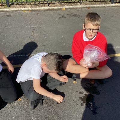 Science in a bag experiment